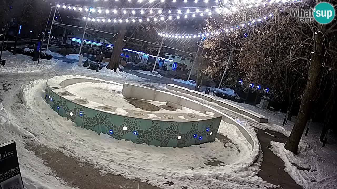 Camera en vivo Fuente de cerveza – Oro verde – Žalec