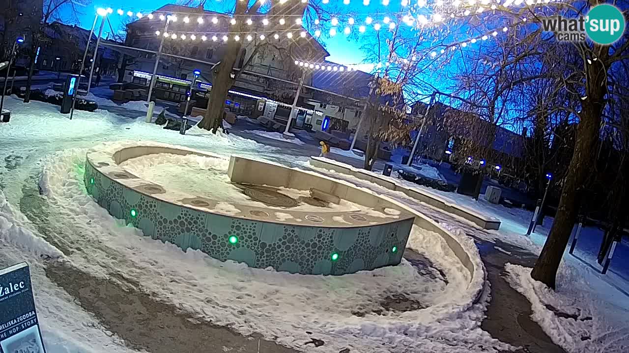 Fontana di birra Webcam – Oro verde – Žalec