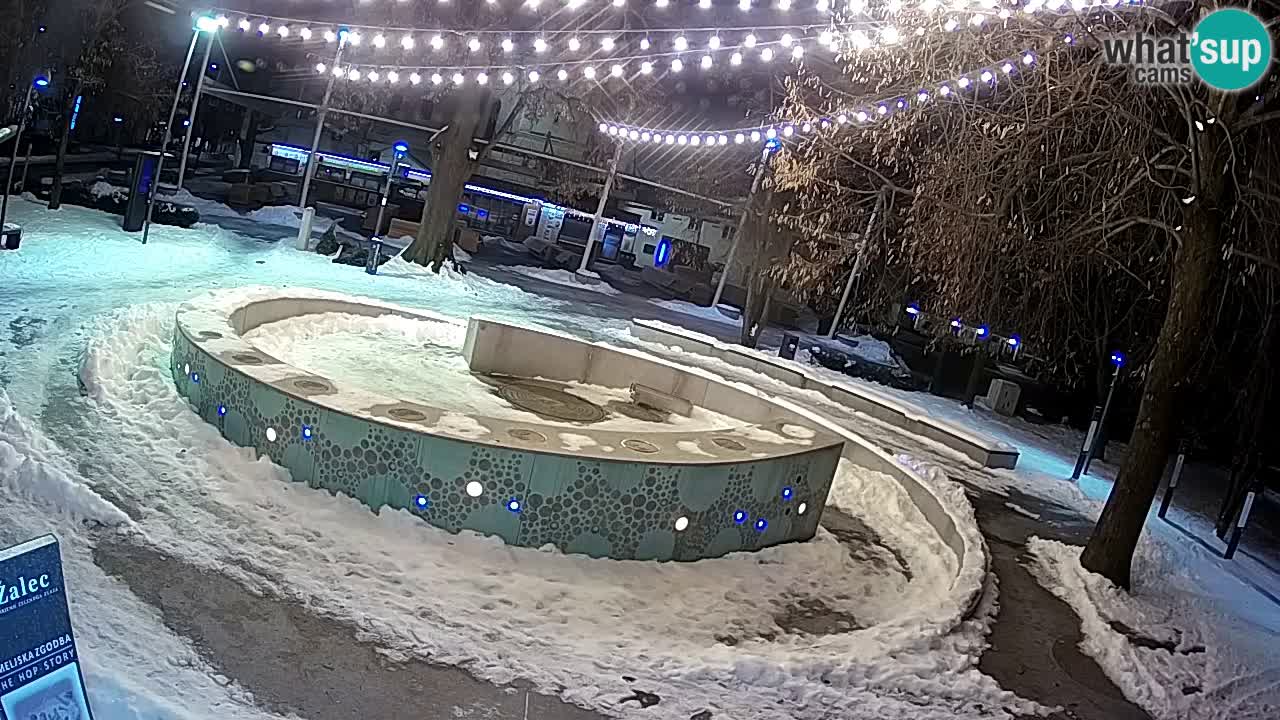 Fontaine à bière LIVE webcam – Or vert – Žalec