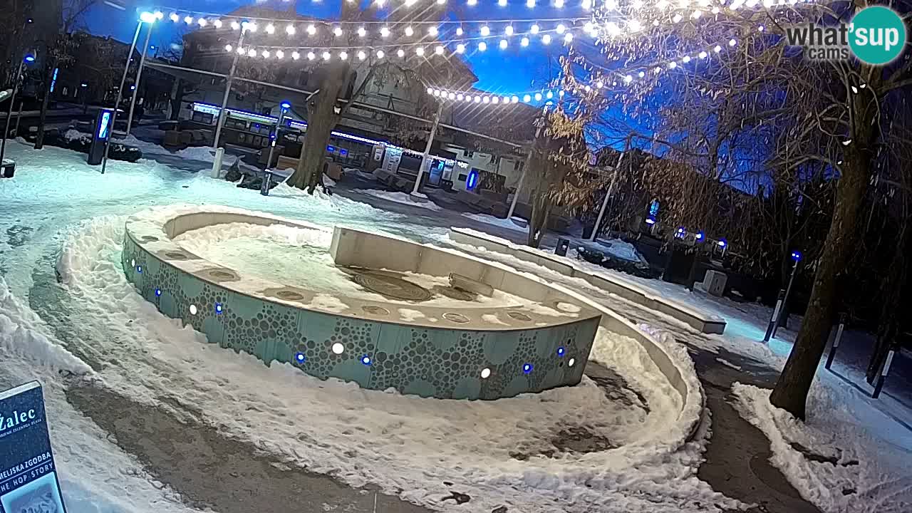 Fontana di birra Webcam – Oro verde – Žalec