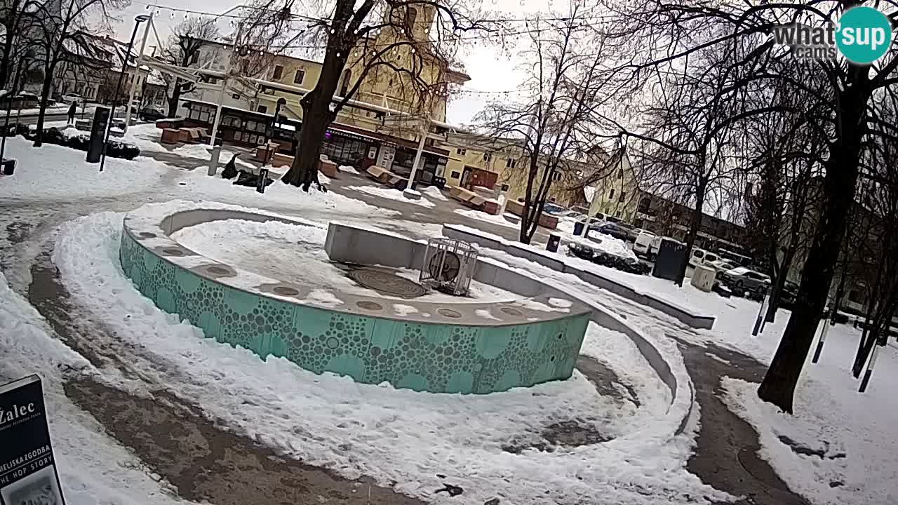 Fontana di birra Webcam – Oro verde – Žalec