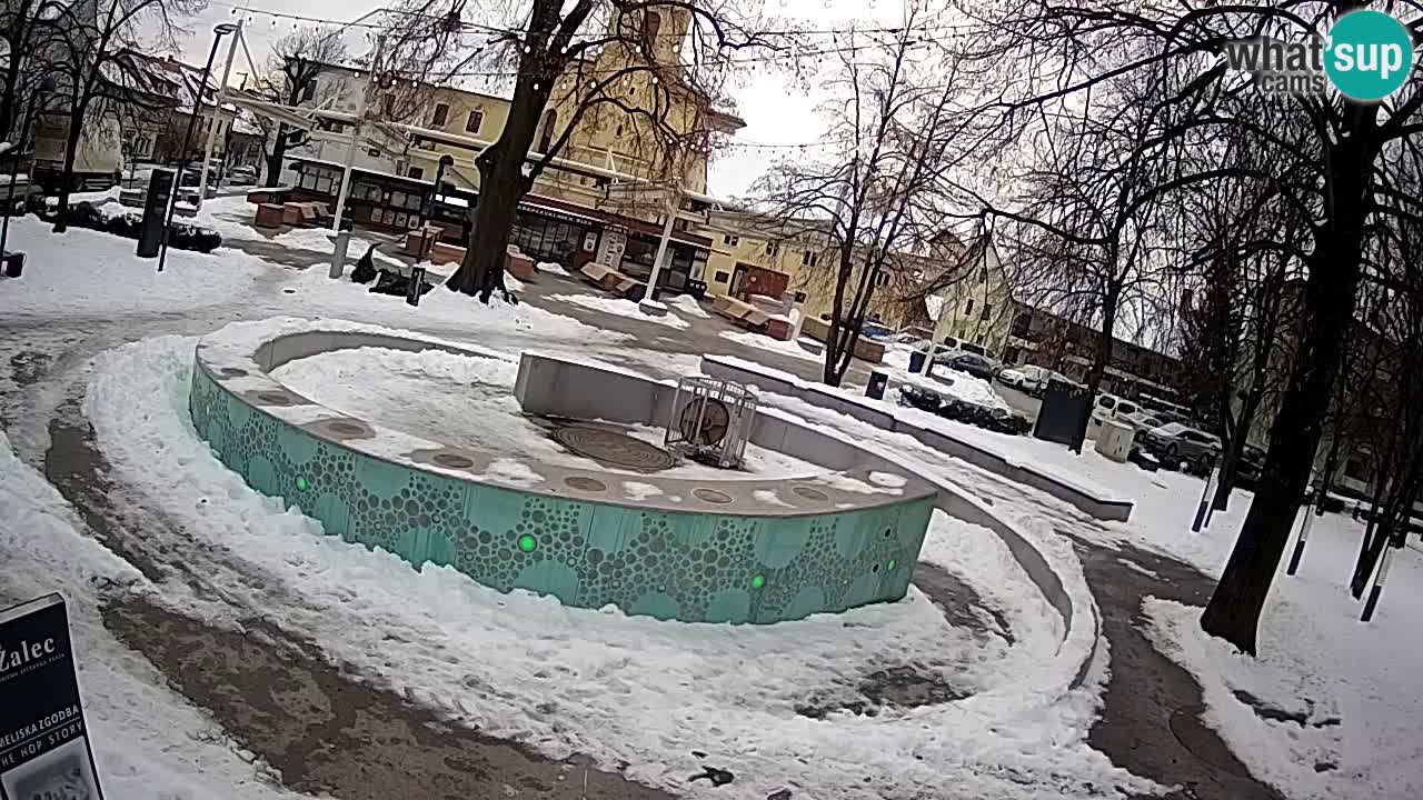 Web kamera Fontana piva – Zeleno zlato – Žalec