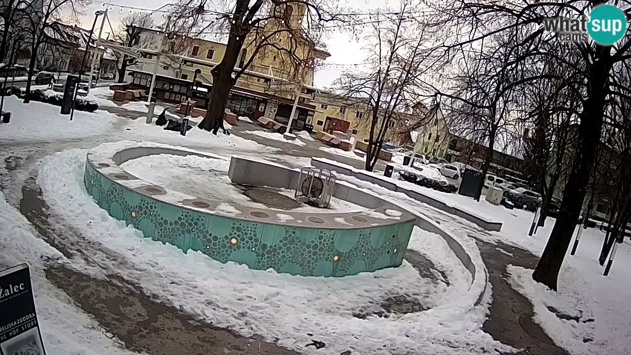 Camera en vivo Fuente de cerveza – Oro verde – Žalec