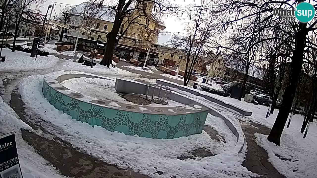 Bier-Springbrunnen Webcam Žalec – Grünen Goldes