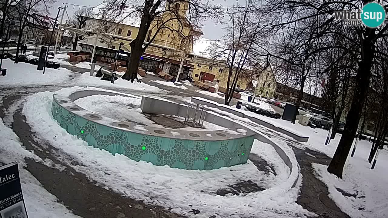 Camera en vivo Fuente de cerveza – Oro verde – Žalec