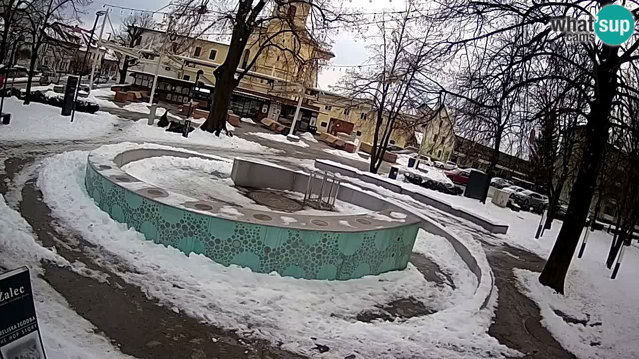 Web kamera Fontana piva – Zeleno zlato – Žalec
