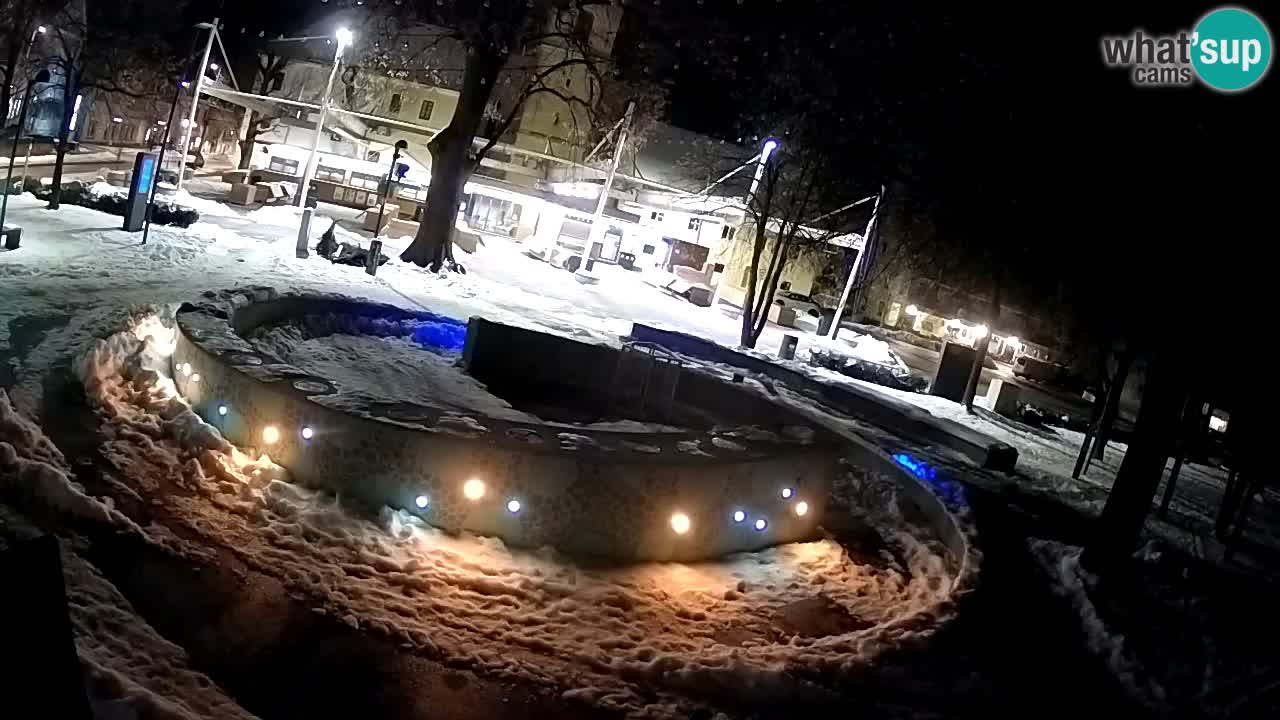 Camera en vivo Fuente de cerveza – Oro verde – Žalec