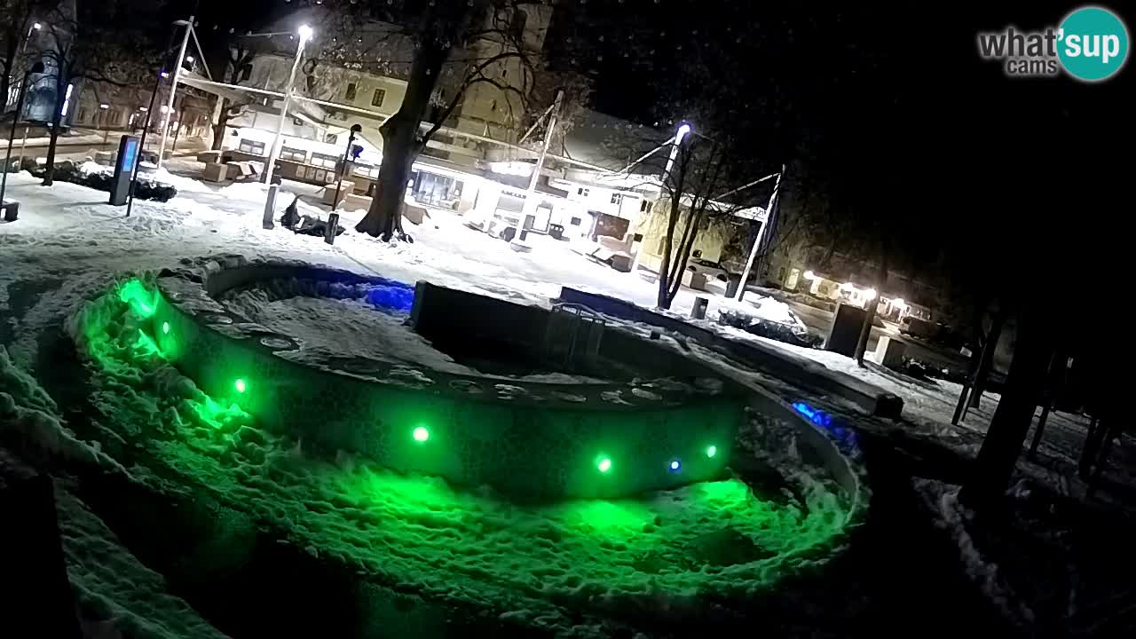 Web kamera Fontana piva – Zeleno zlato – Žalec