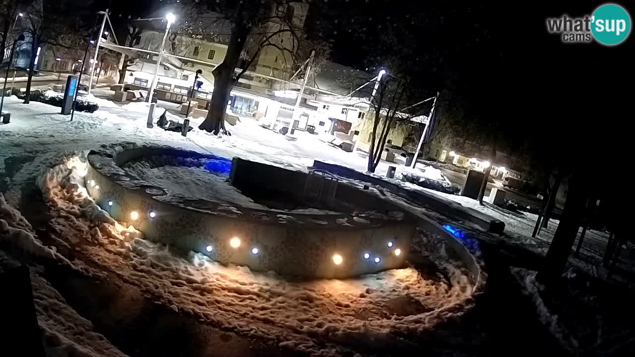 Web kamera Fontana piva – Zeleno zlato – Žalec