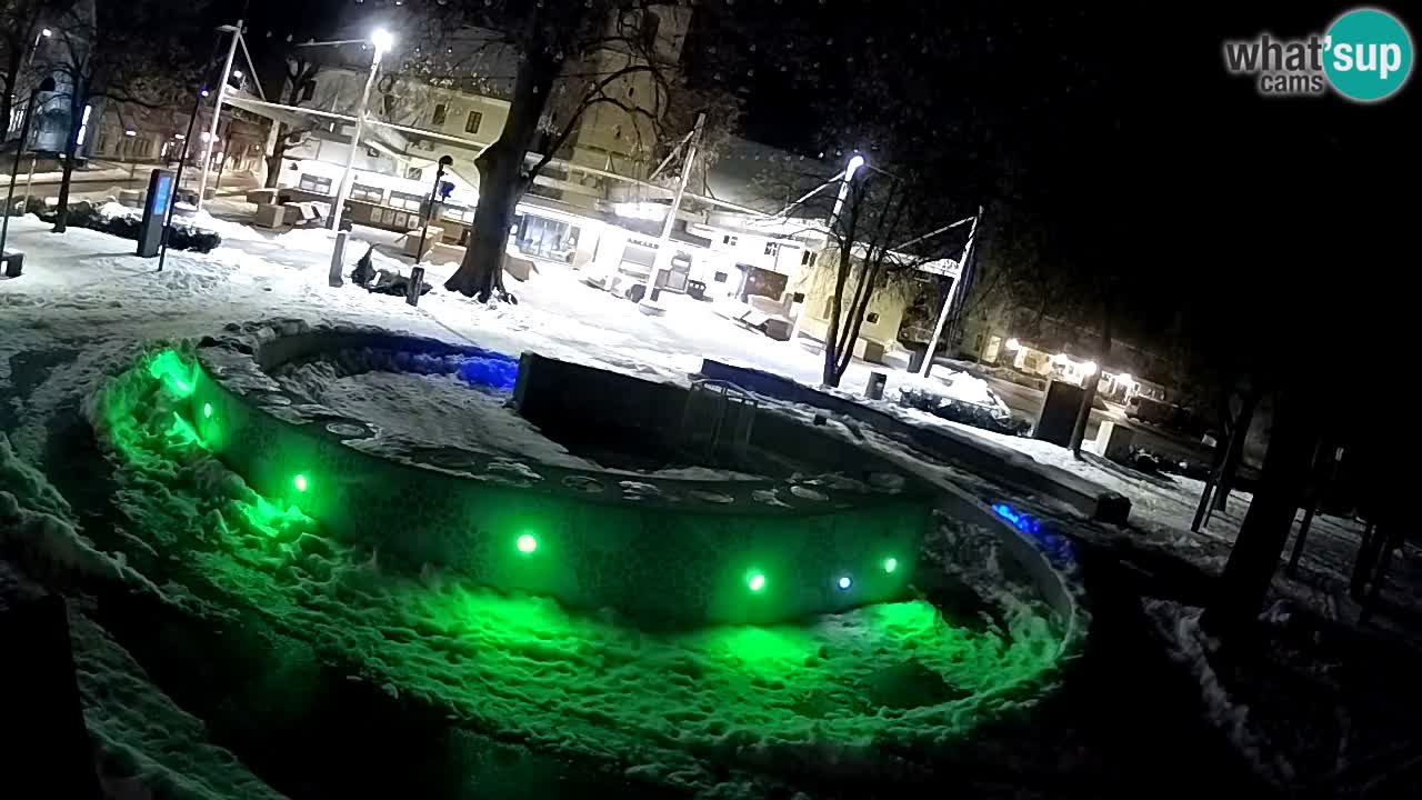 Spletna kamera Fontana Piv – Zeleno zlato Žalec