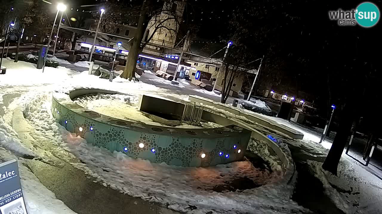 Camera en vivo Fuente de cerveza – Oro verde – Žalec