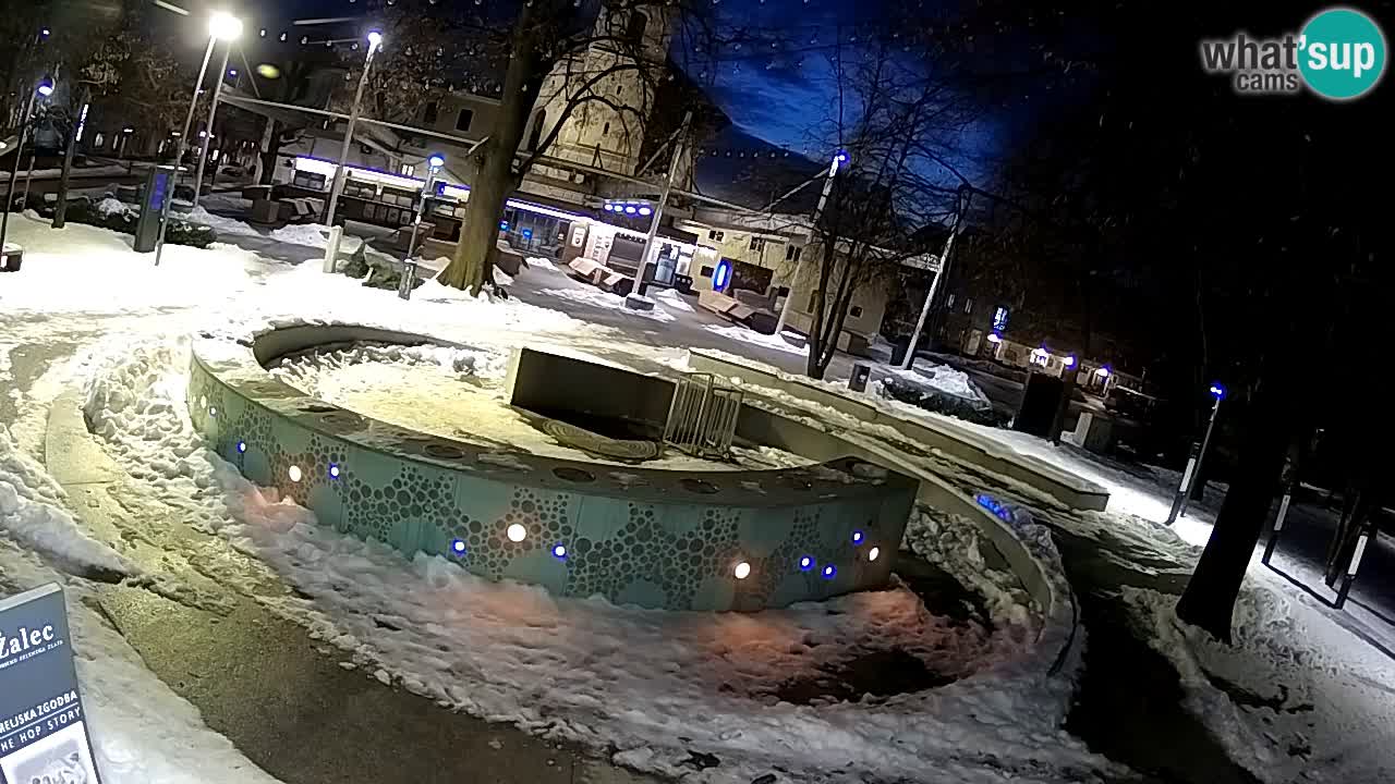 Camera en vivo Fuente de cerveza – Oro verde – Žalec