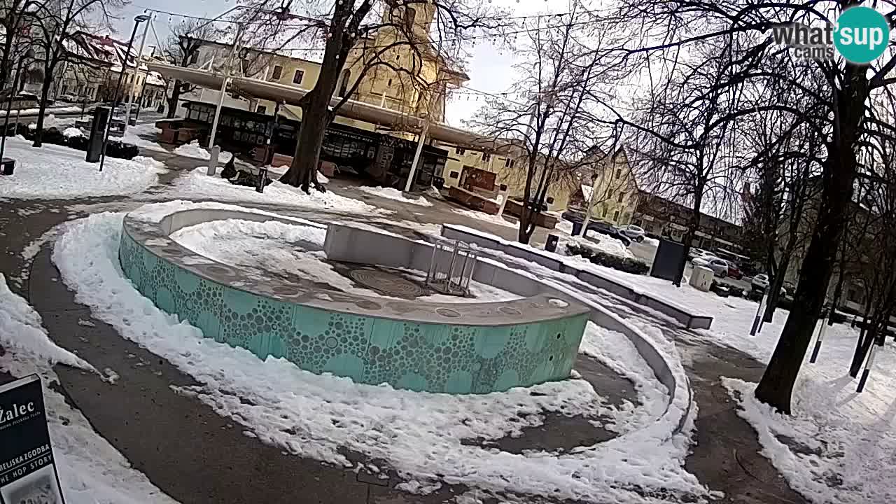 Web kamera Fontana piva – Zeleno zlato – Žalec