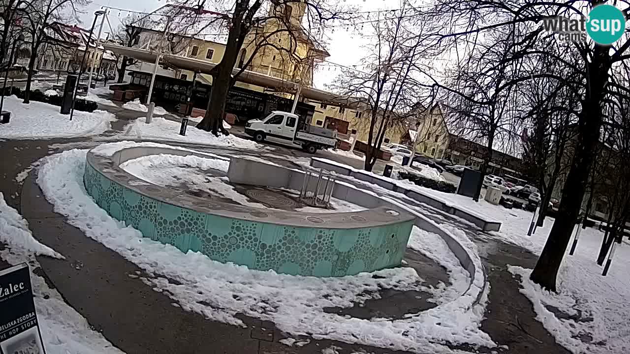 LIVEcam Beer fountain – Green Gold – Žalec – Slovenia