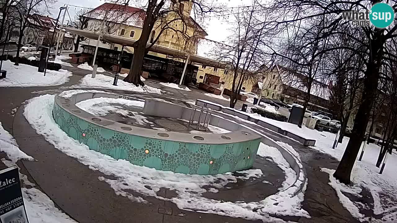 Spletna kamera Fontana Piv – Zeleno zlato Žalec