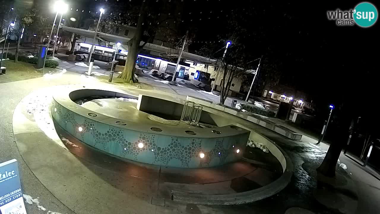 Web kamera Fontana piva – Zeleno zlato – Žalec