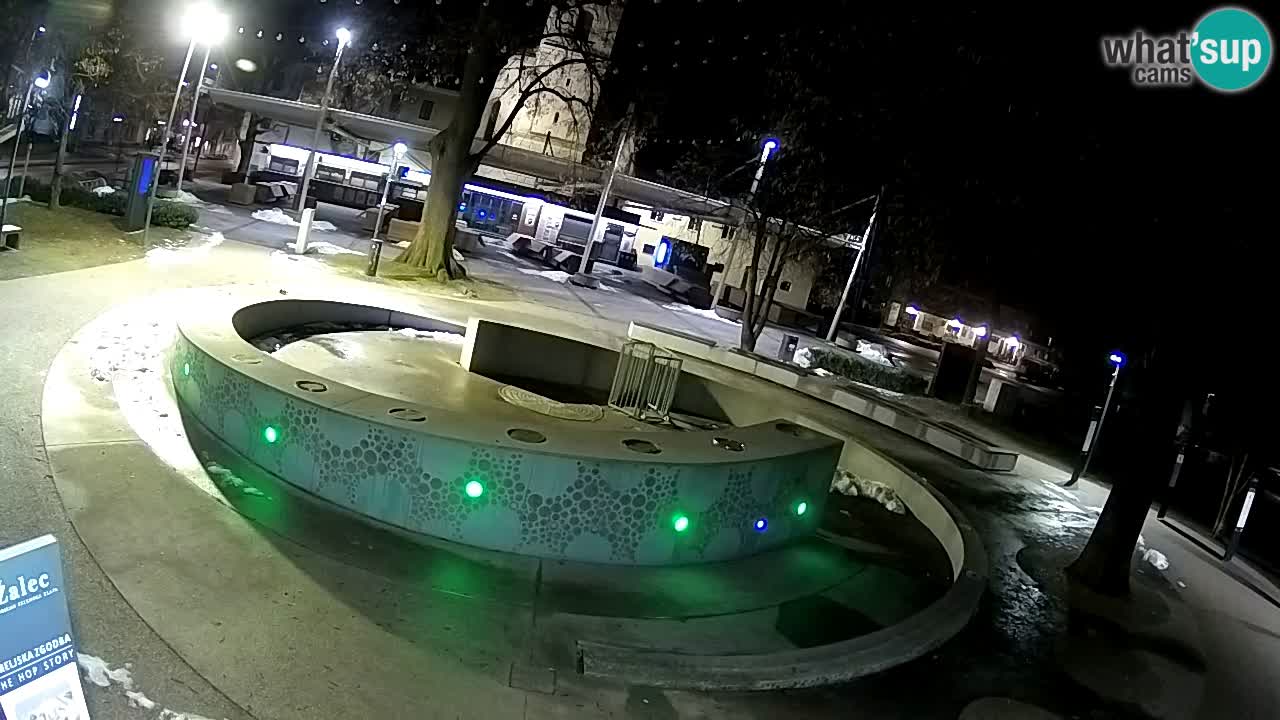 Web kamera Fontana piva – Zeleno zlato – Žalec