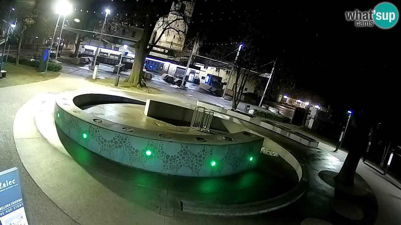 Fontaine à bière LIVE webcam – Or vert – Žalec