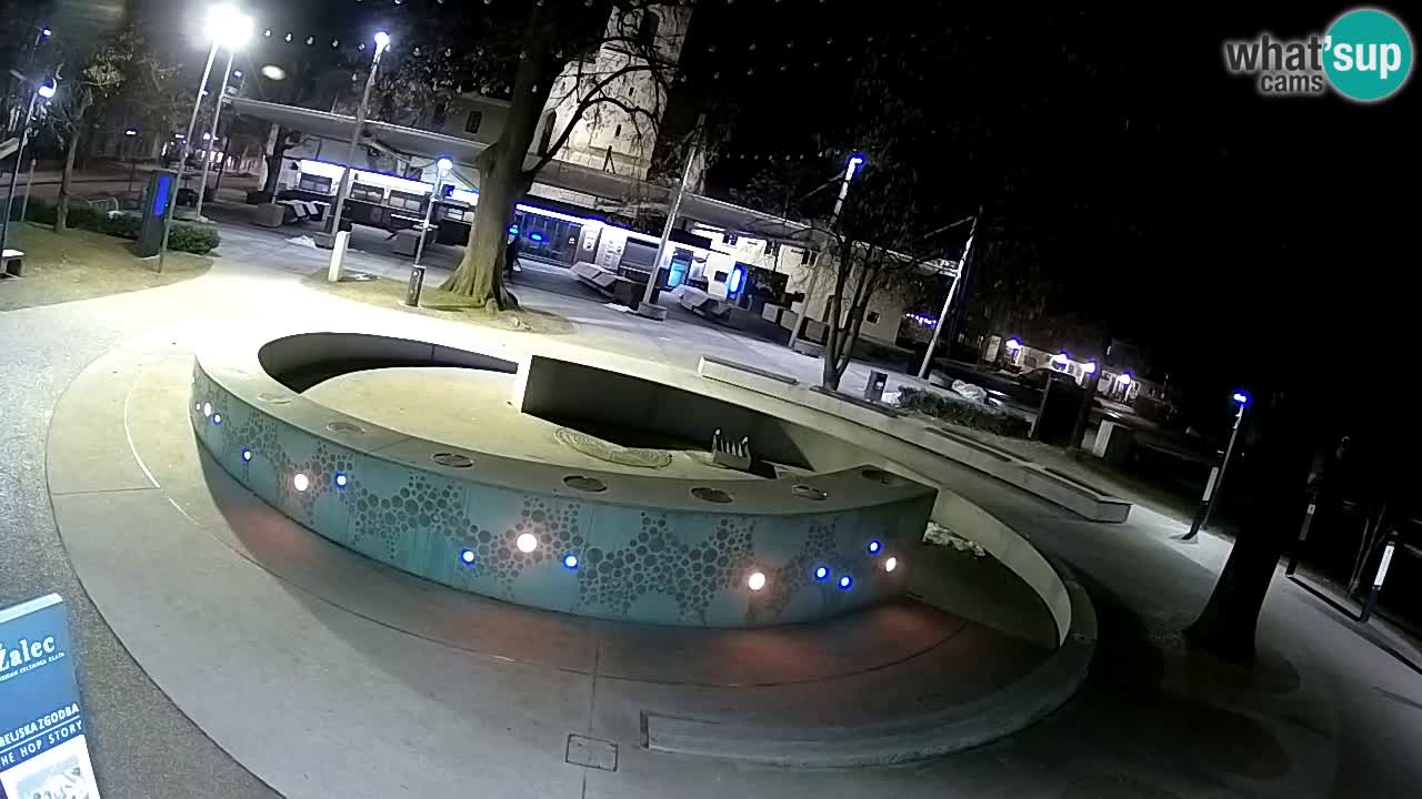 Fontaine à bière LIVE webcam – Or vert – Žalec