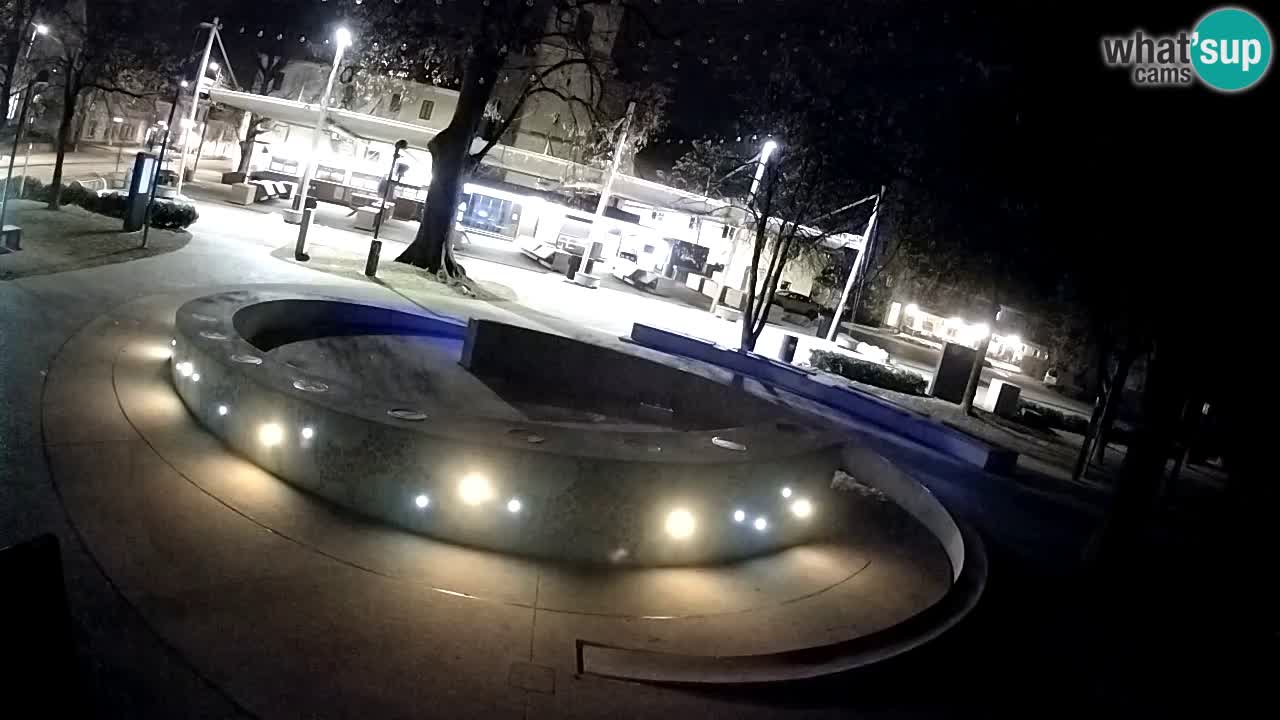 Fontaine à bière LIVE webcam – Or vert – Žalec