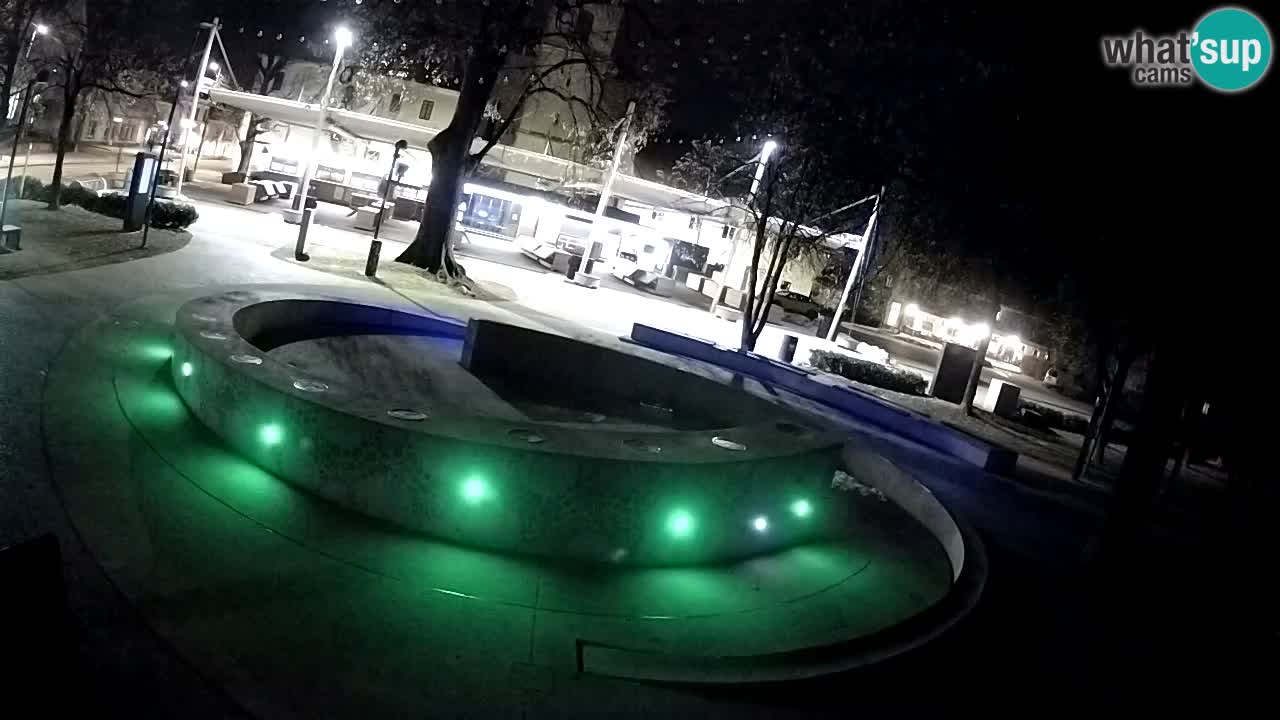 Web kamera Fontana piva – Zeleno zlato – Žalec