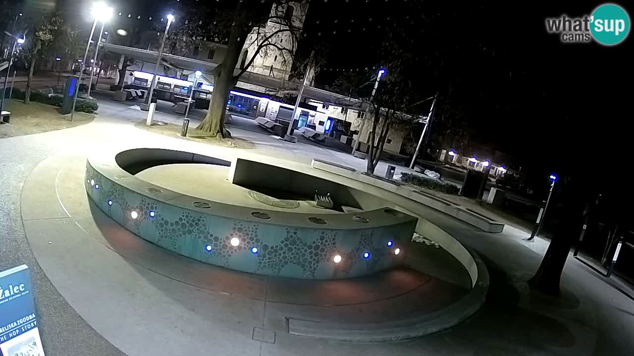 Fontana di birra Webcam – Oro verde – Žalec