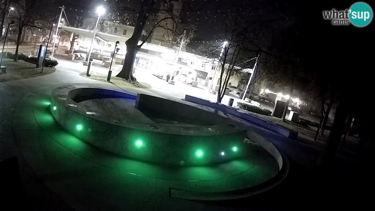 Bier-Springbrunnen Webcam Žalec – Grünen Goldes