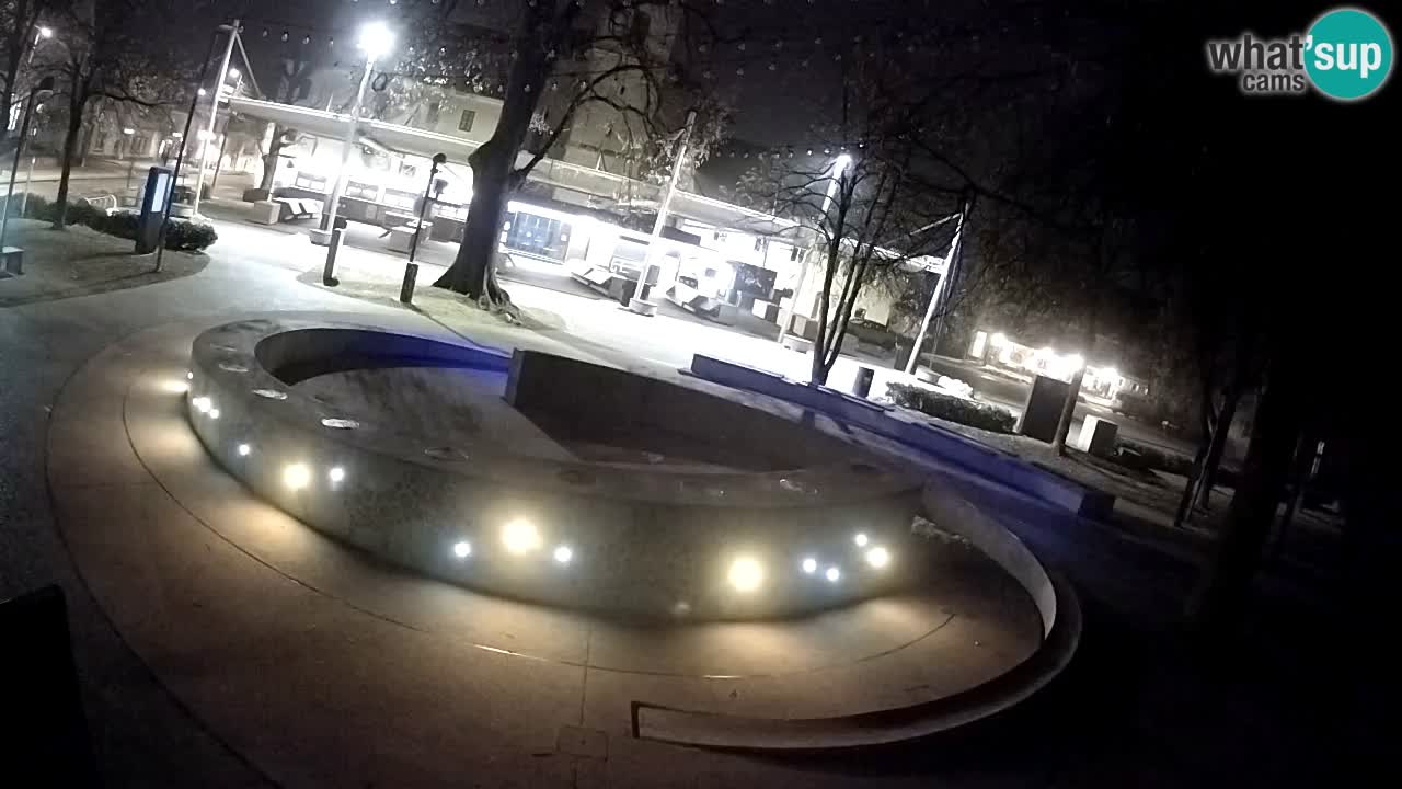 Bier-Springbrunnen Webcam Žalec – Grünen Goldes