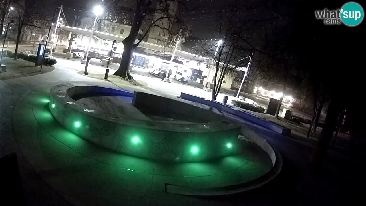 Web kamera Fontana piva – Zeleno zlato – Žalec