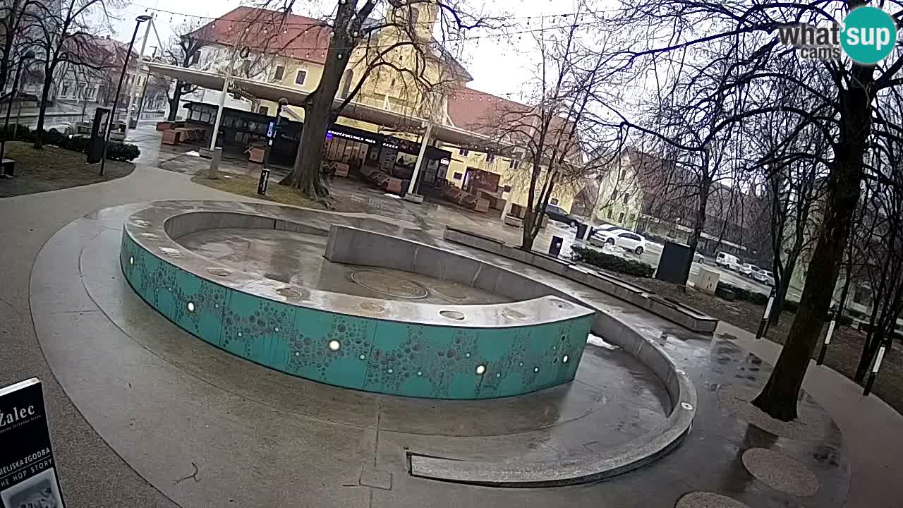 Bier-Springbrunnen Webcam Žalec – Grünen Goldes