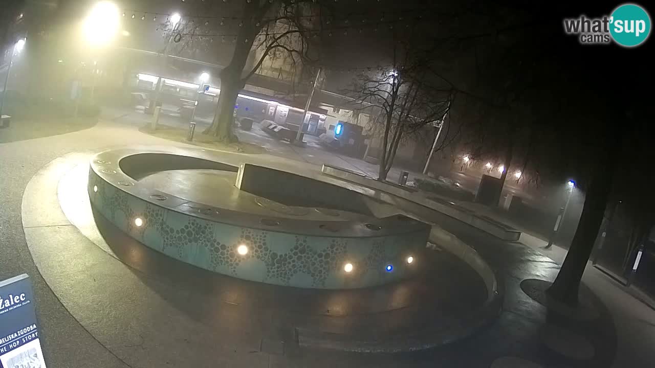 Web kamera Fontana piva – Zeleno zlato – Žalec