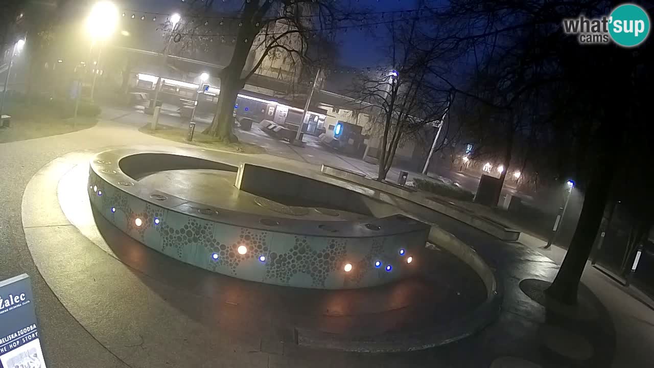 Bier-Springbrunnen Webcam Žalec – Grünen Goldes