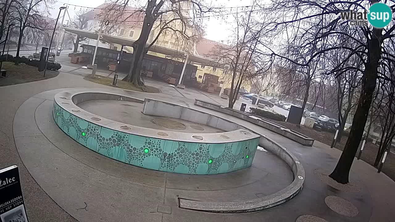 Bier-Springbrunnen Webcam Žalec – Grünen Goldes