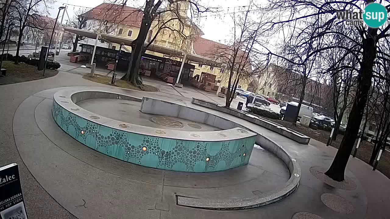 Web kamera Fontana piva – Zeleno zlato – Žalec