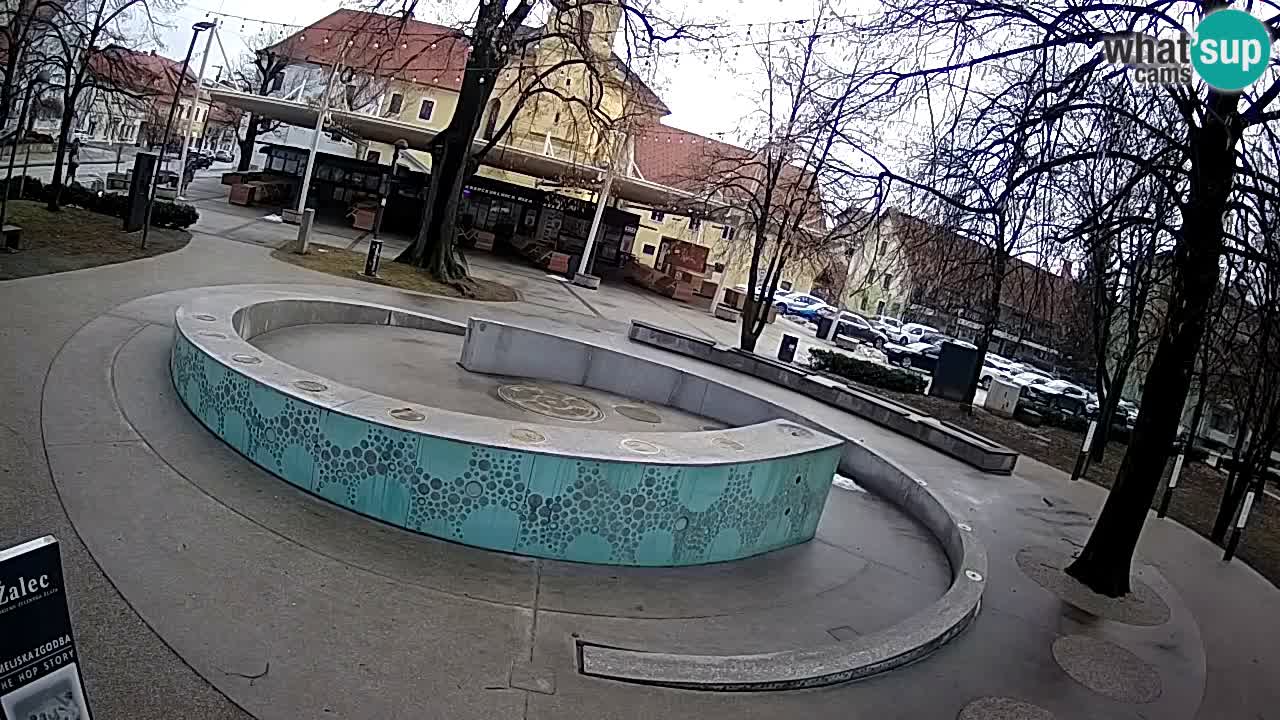 Spletna kamera Fontana Piv – Zeleno zlato Žalec