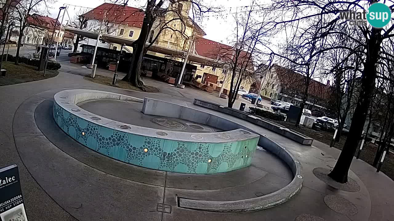 Camera en vivo Fuente de cerveza – Oro verde – Žalec