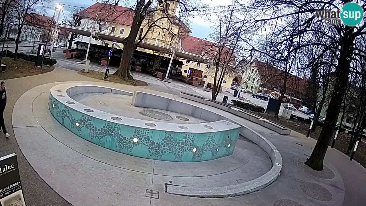 Web kamera Fontana piva – Zeleno zlato – Žalec