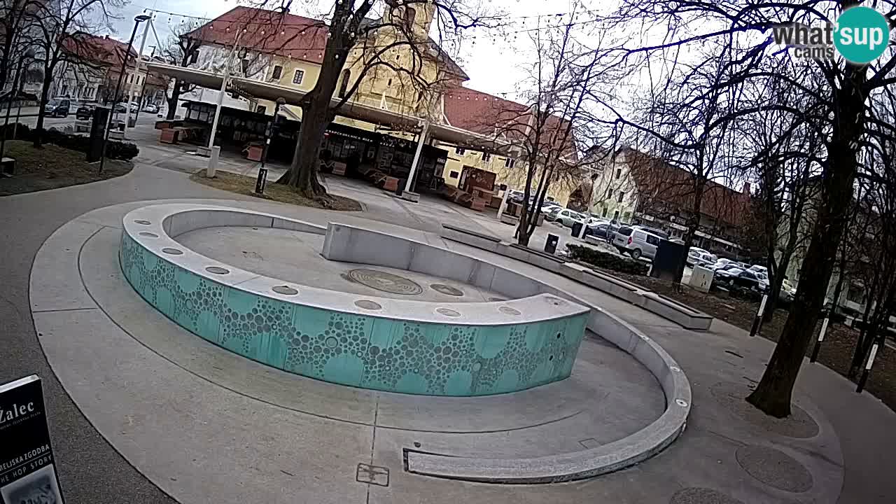 Web kamera Fontana piva – Zeleno zlato – Žalec