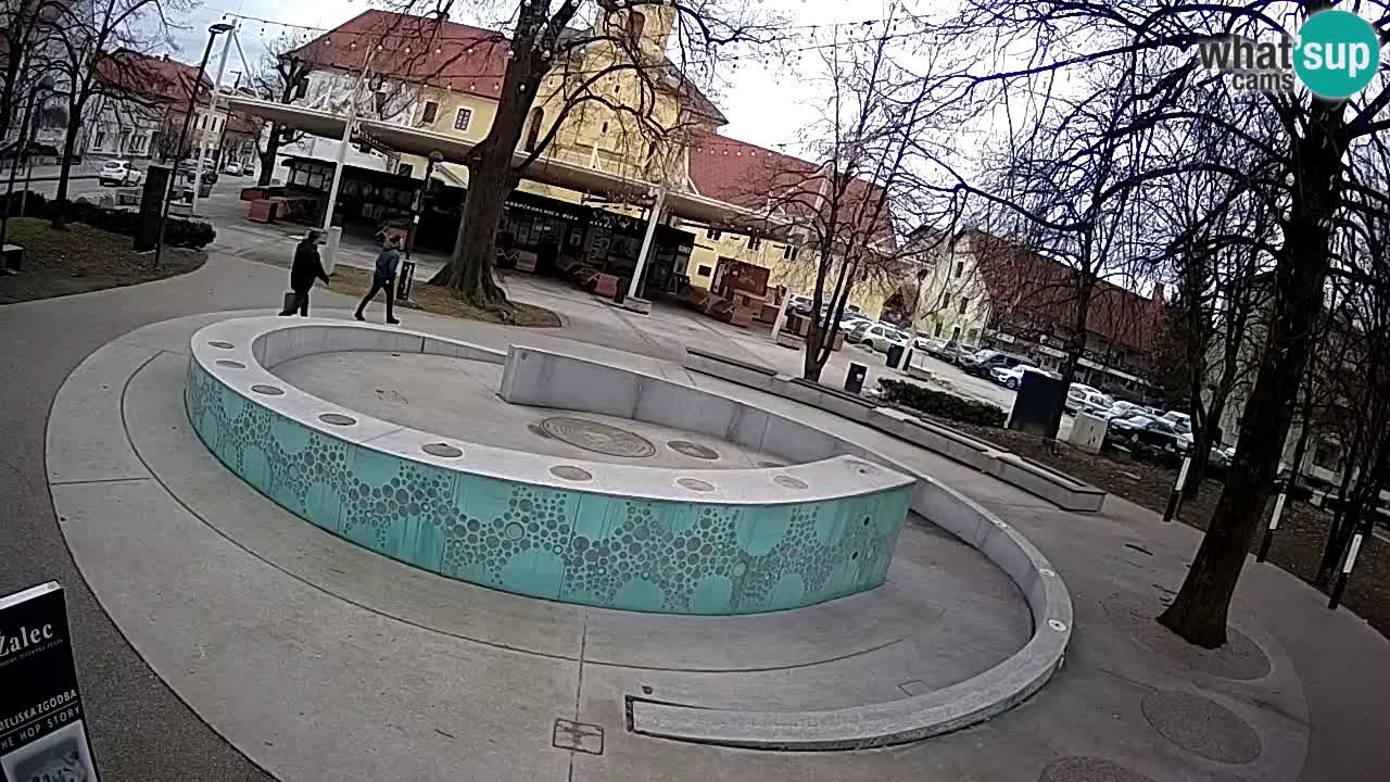 Web kamera Fontana piva – Zeleno zlato – Žalec