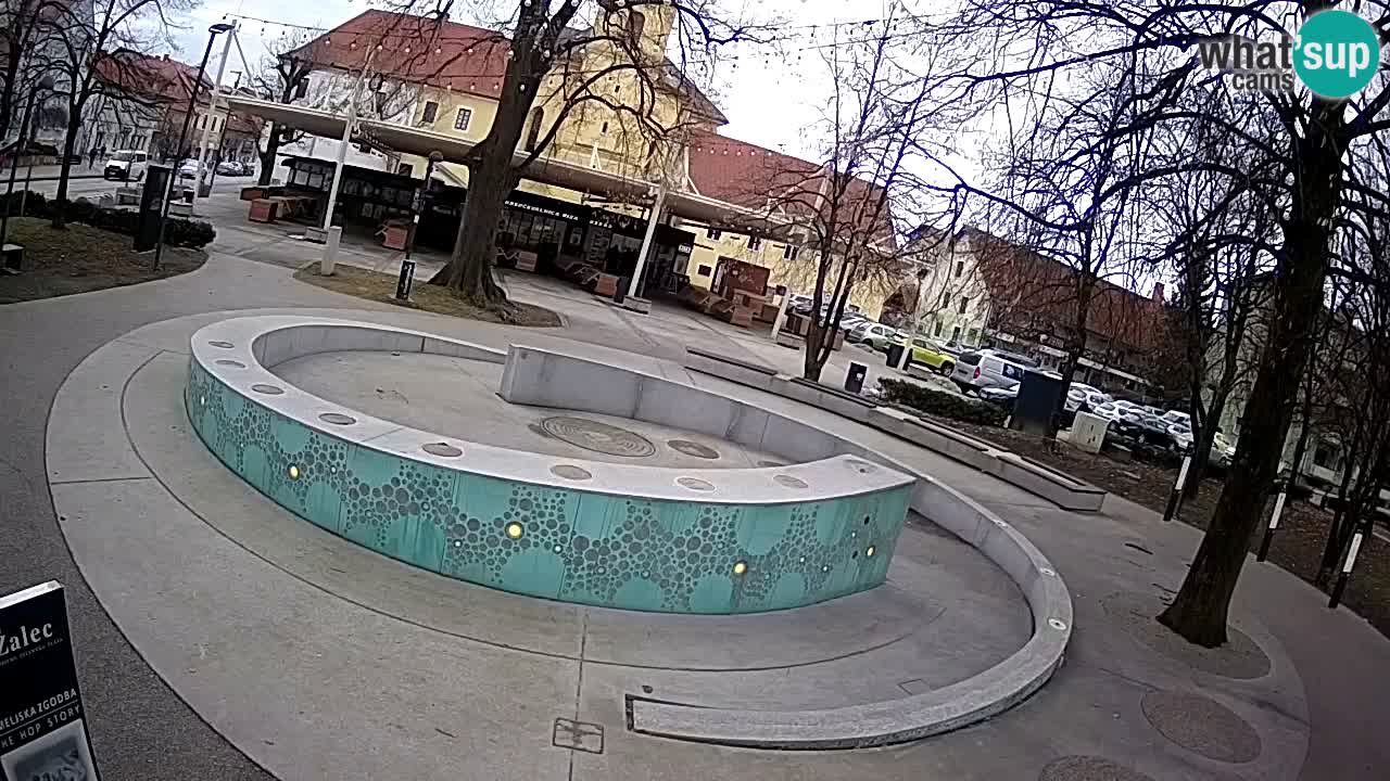 Web kamera Fontana piva – Zeleno zlato – Žalec