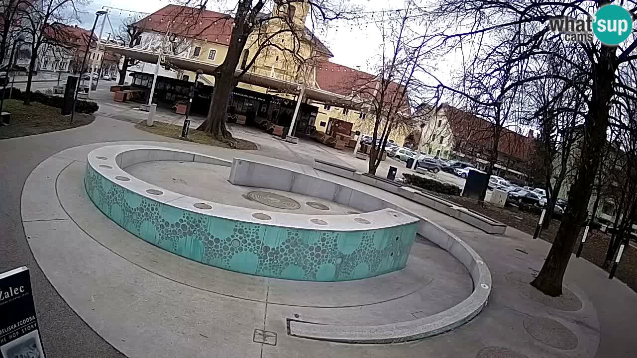 Web kamera Fontana piva – Zeleno zlato – Žalec