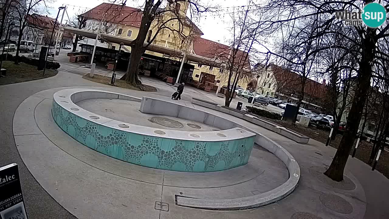 Spletna kamera Fontana Piv – Zeleno zlato Žalec