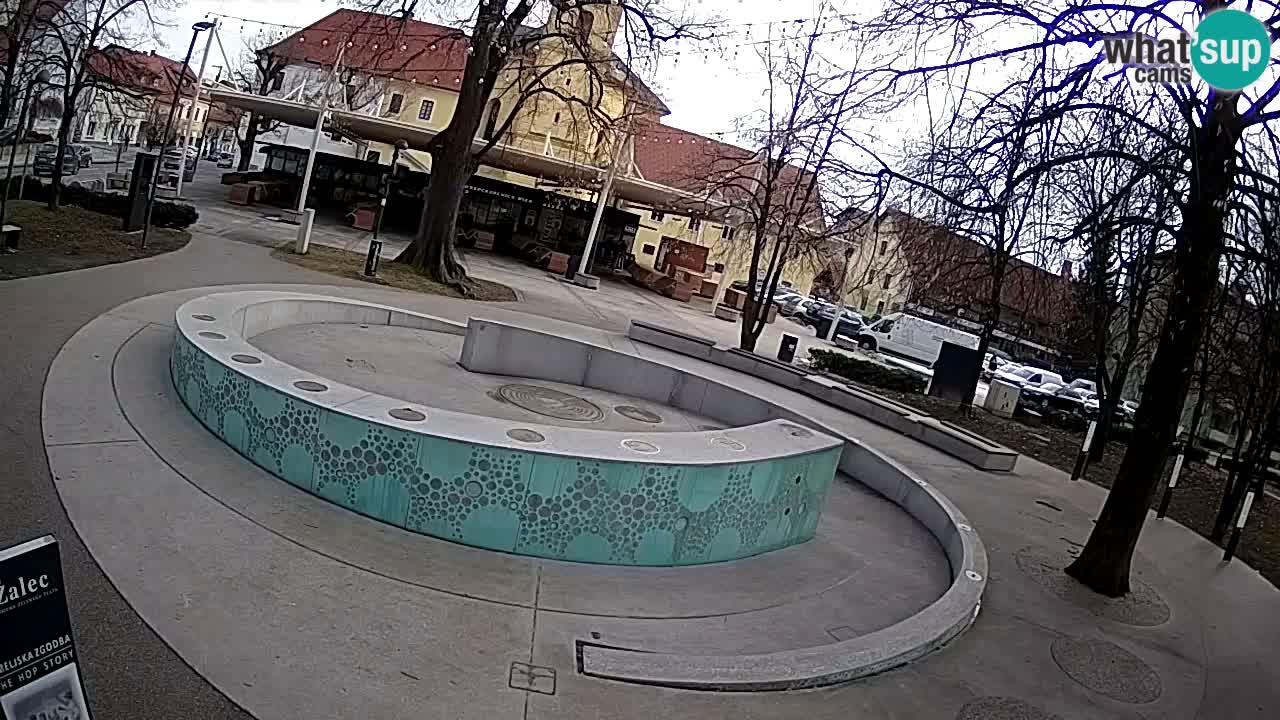 Web kamera Fontana piva – Zeleno zlato – Žalec