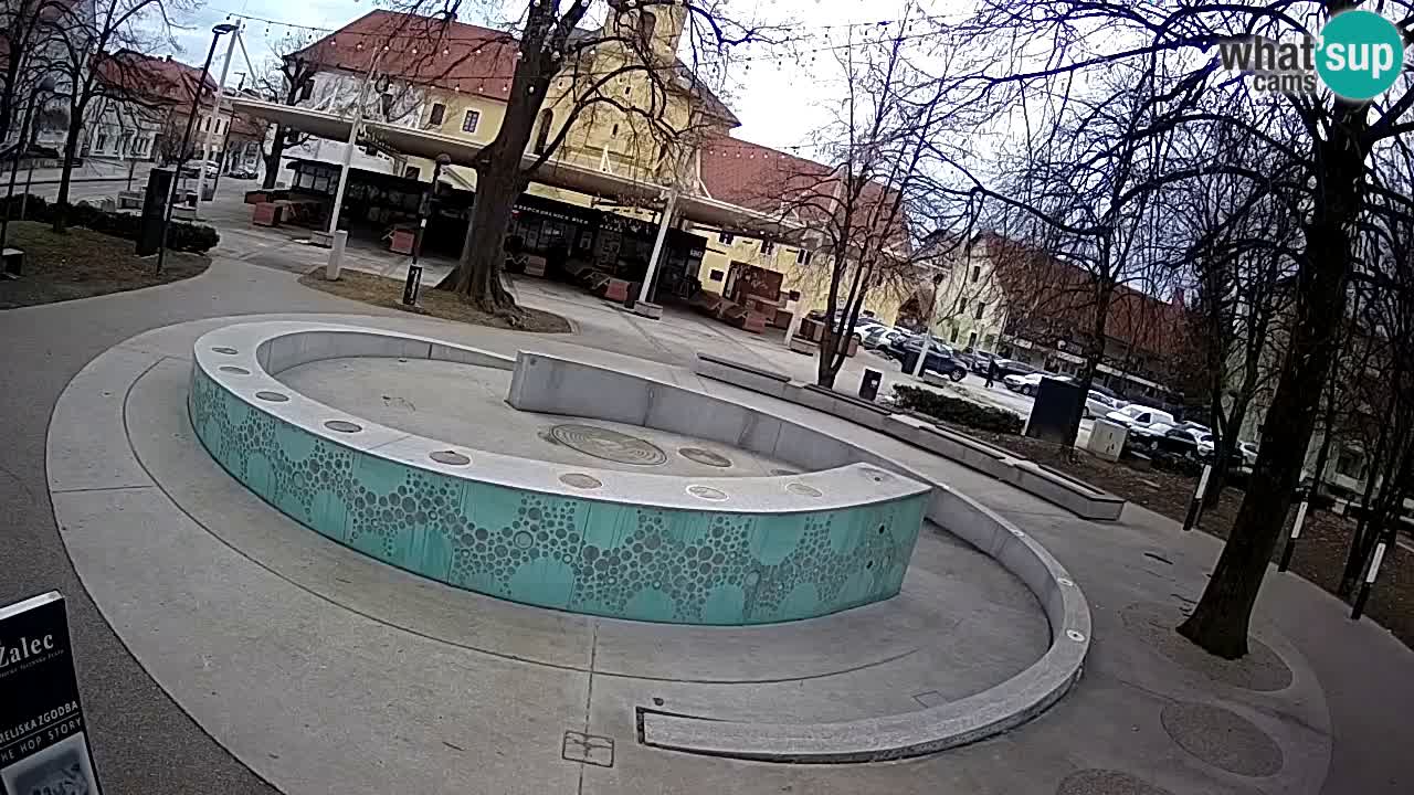 Web kamera Fontana piva – Zeleno zlato – Žalec