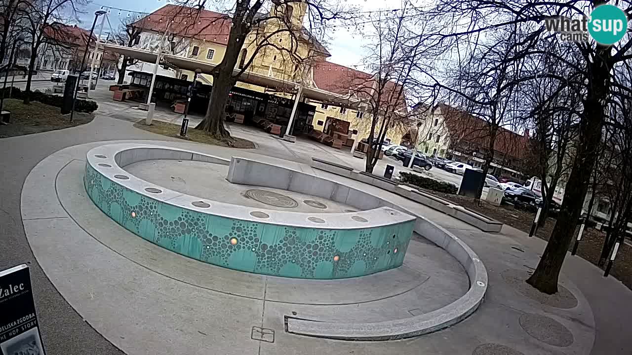 Spletna kamera Fontana Piv – Zeleno zlato Žalec