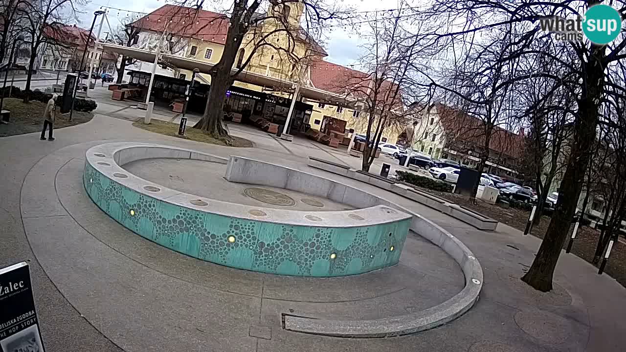 Web kamera Fontana piva – Zeleno zlato – Žalec