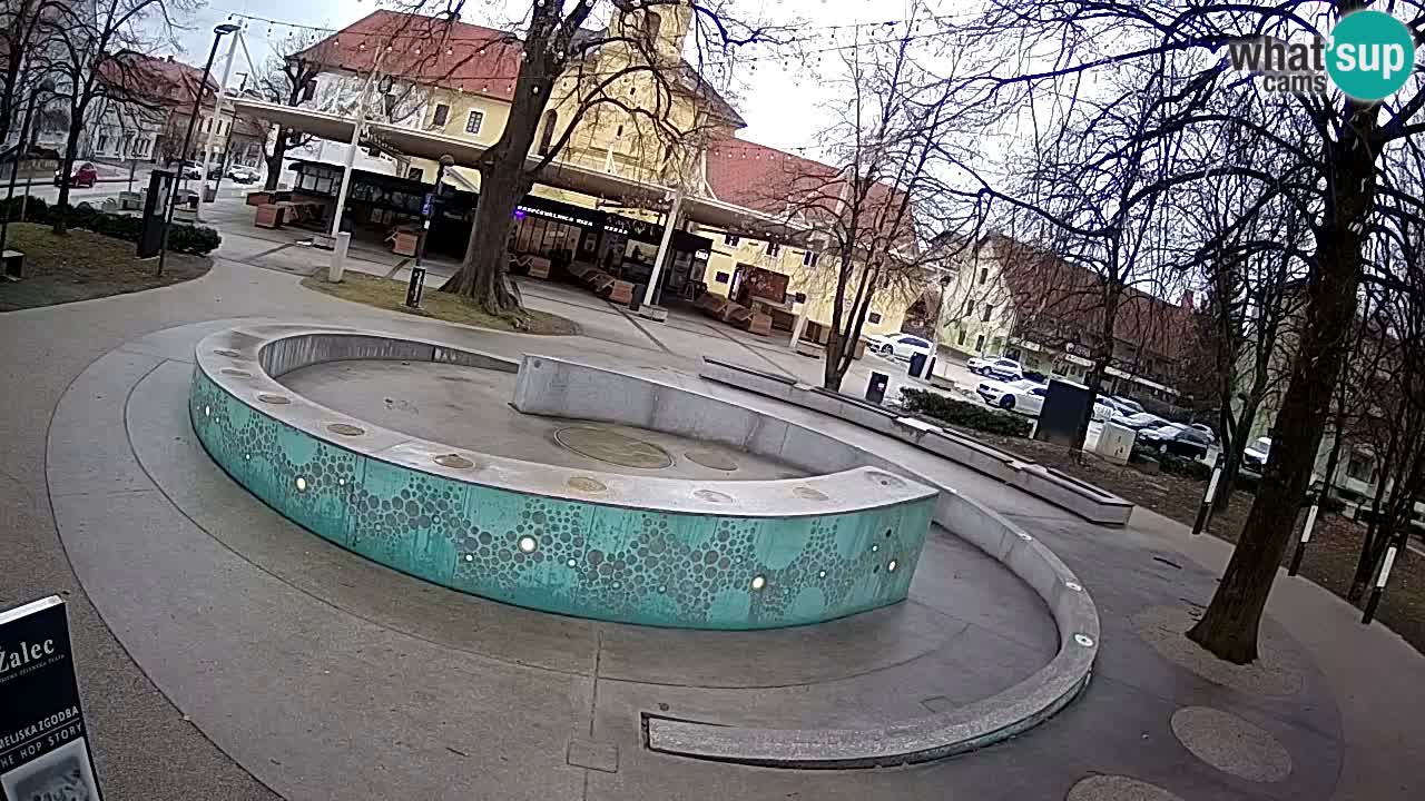 Fontaine à bière LIVE webcam – Or vert – Žalec