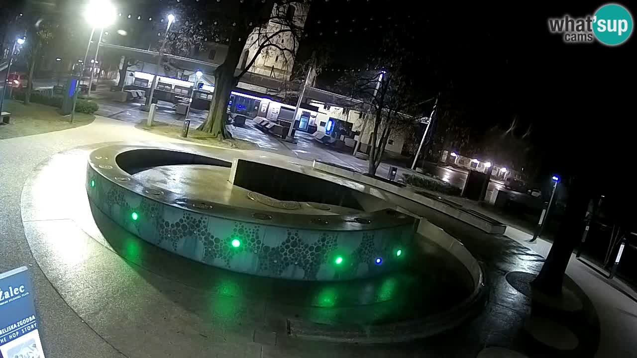 Fontaine à bière LIVE webcam – Or vert – Žalec
