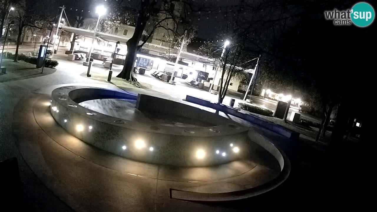 Bier-Springbrunnen Webcam Žalec – Grünen Goldes