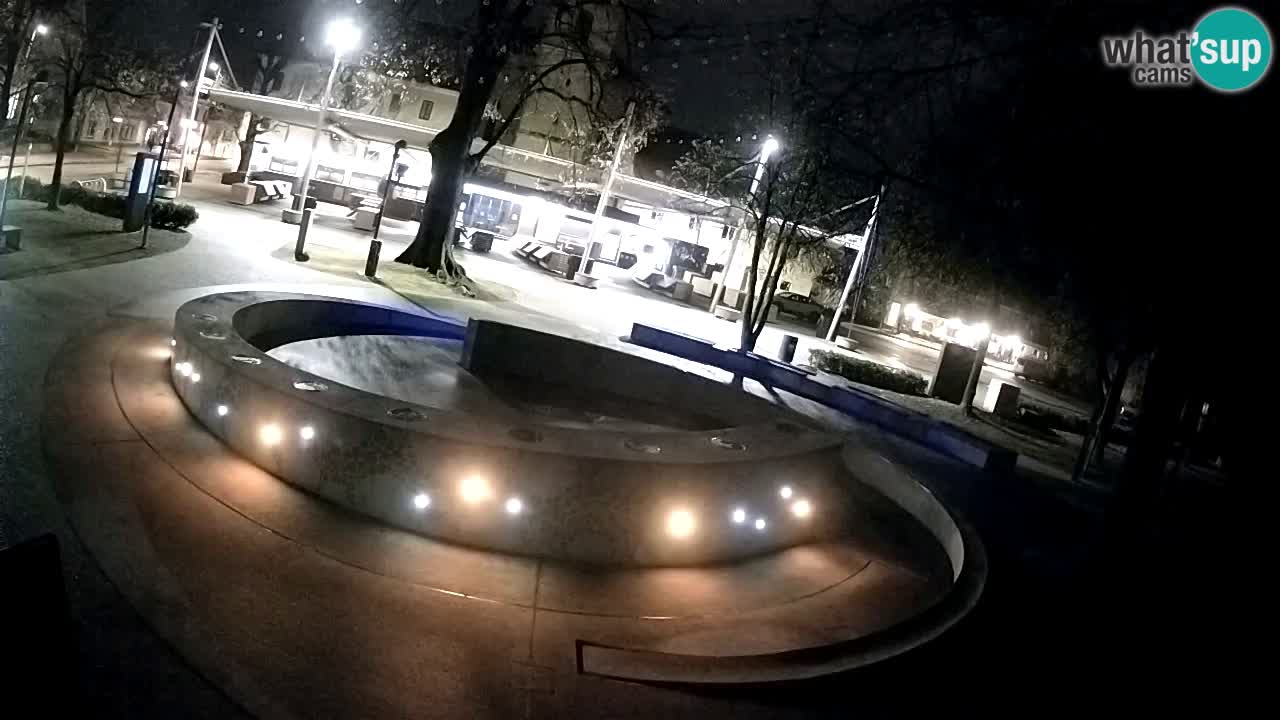 Bier-Springbrunnen Webcam Žalec – Grünen Goldes